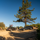 Image for article titled 2020 Audi A6 Allroad Carves Out A Softer Niche
